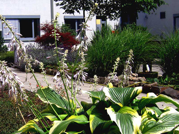 n_n_b_32  B-Funkie1.jpg